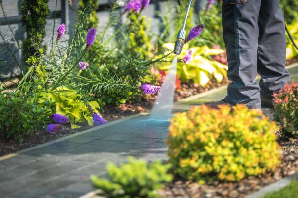 Best Animal Enclosure Cleaning  in Cedville, AR